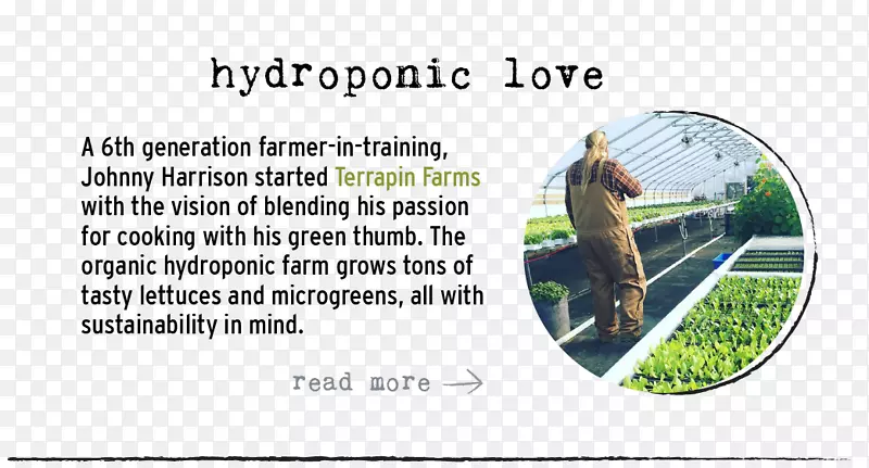 Ʒ�Ʋ�ˮϵϵ��-ˮ-������