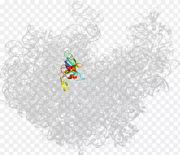 �������ͼ������Ӿ���������-������