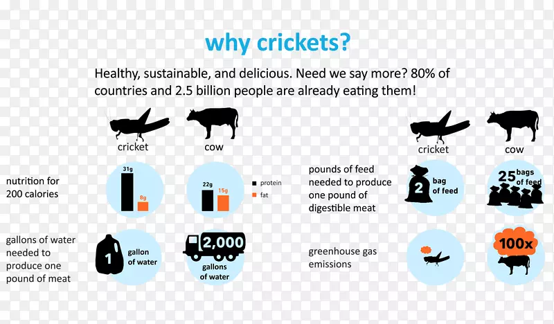 ���������ţ��������-������