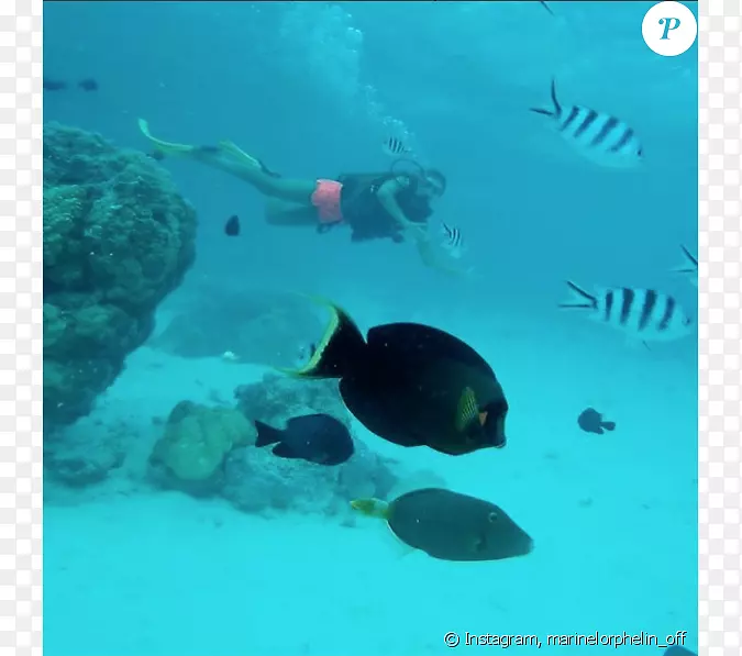 Ǳˮɺ������ˮ�º�-��-������