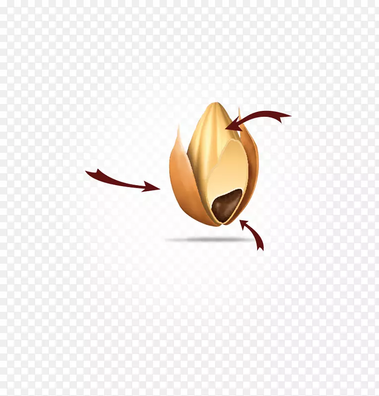 �����ֽ���Լ���������-������