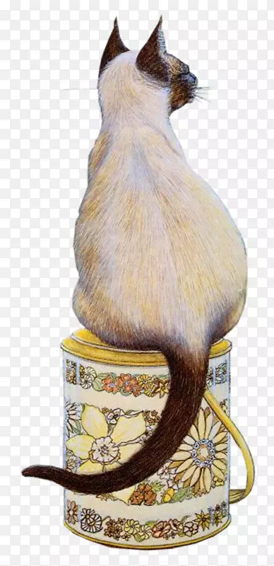 è����������è-������