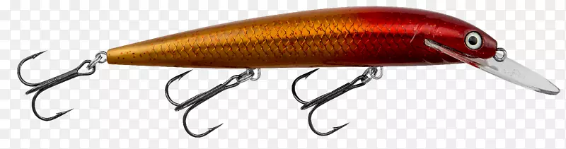 ��ɫ���-������