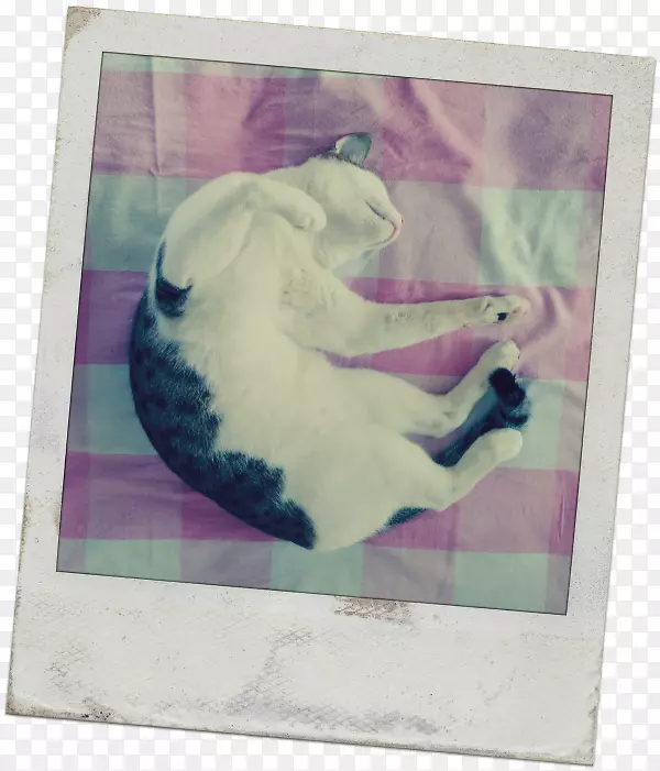 ˮ�ʻ�������滭-������