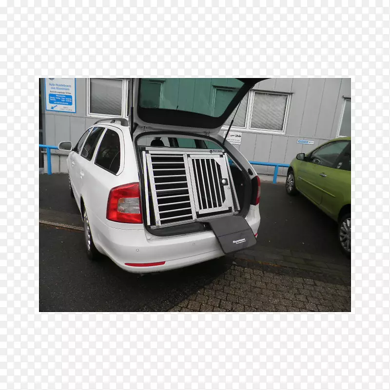 �����������ոܽ����ͽγ�������-������