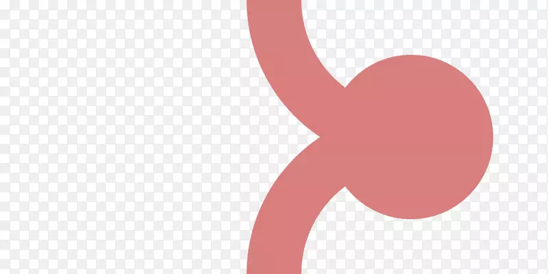 ��ָ��־�������-������