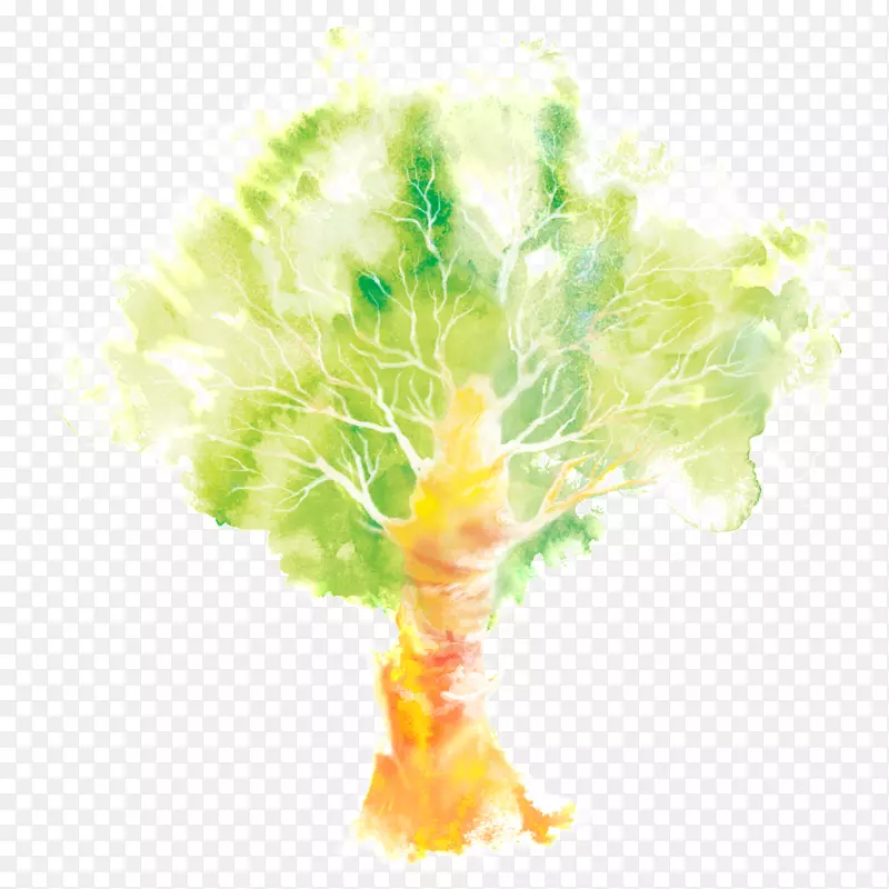 ˮ�ʻ���ͼ.ˮ�ʻ���-������