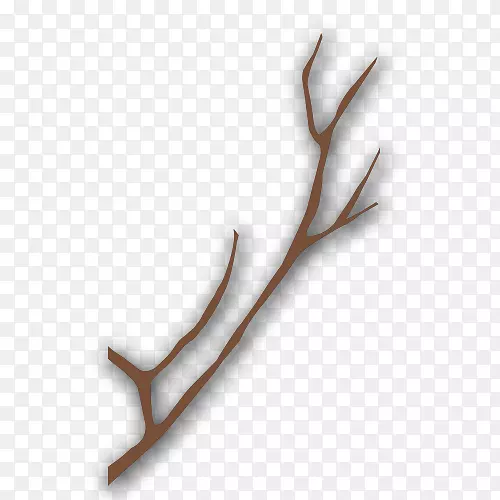 ��ɫ��֦-��ɫ��֦-������