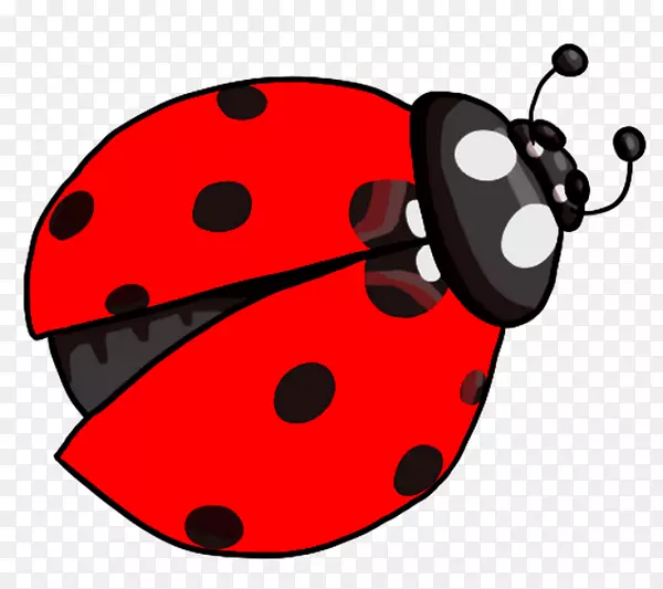 Ů�������-���-������