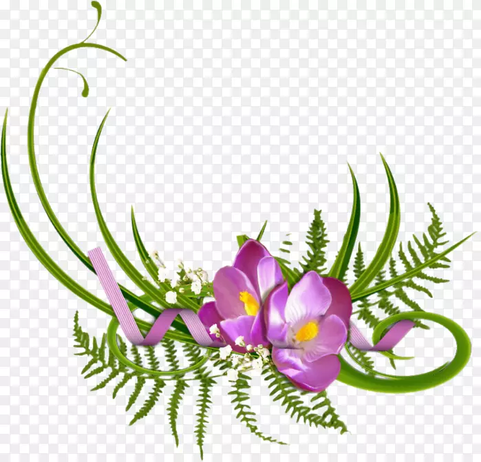 �����ֽ��������-������