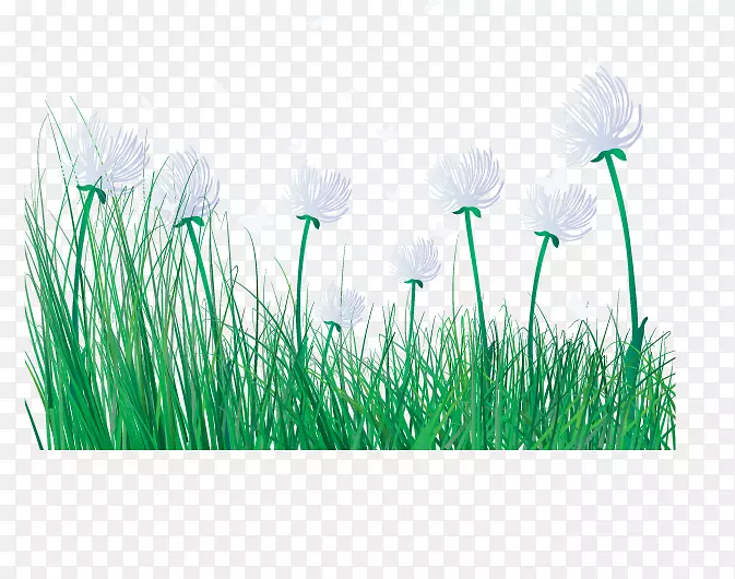 Primavera��ͨƬ����-��ͨ�����ʲ�-������