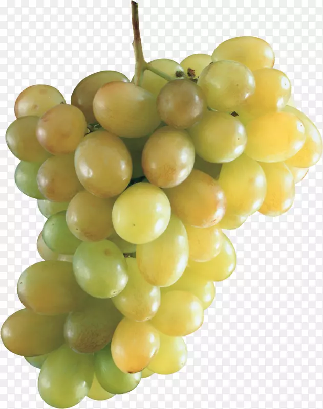 �մ���������ͨ������-3D��ͨ����ˮ��ͼ��-������