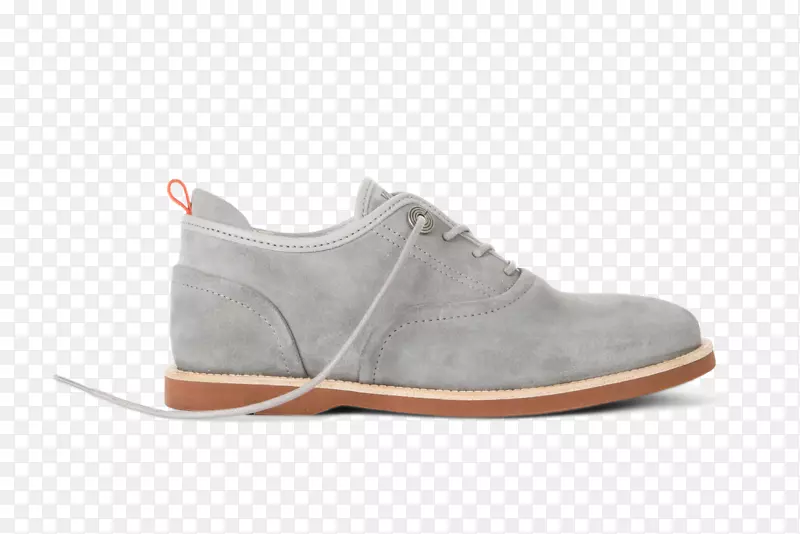 ����Ь����ѵ�����-������