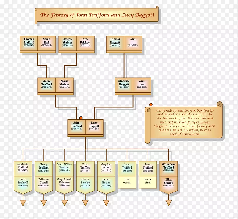 ƽ��ͼ�����-������