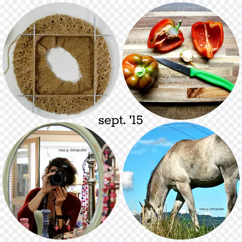 ˹Ŭ����Ӱ-��������-������