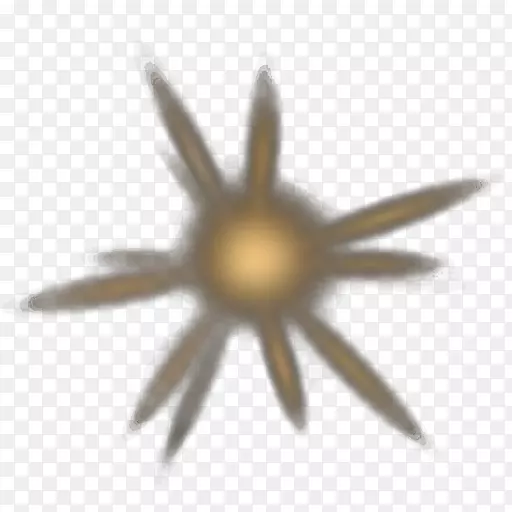 �����ֽ������Գ��Լ����-������