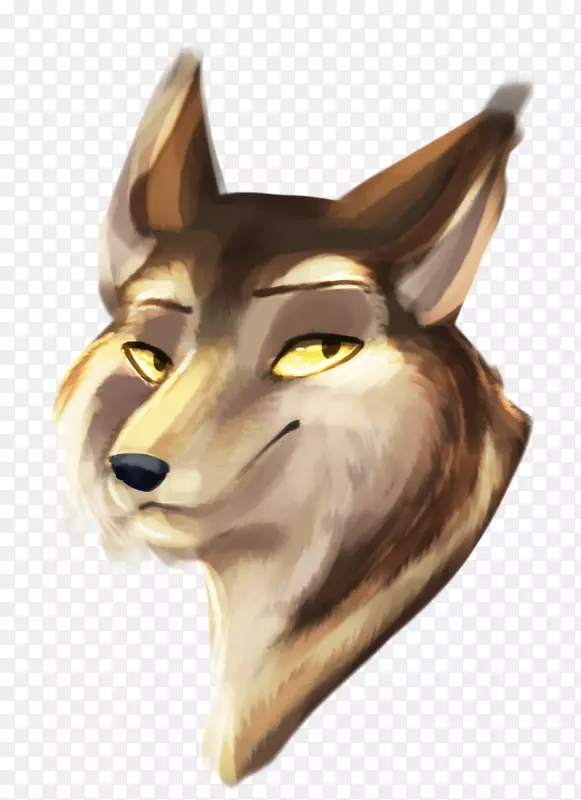 ������Ǳ���Ұ������β��-������