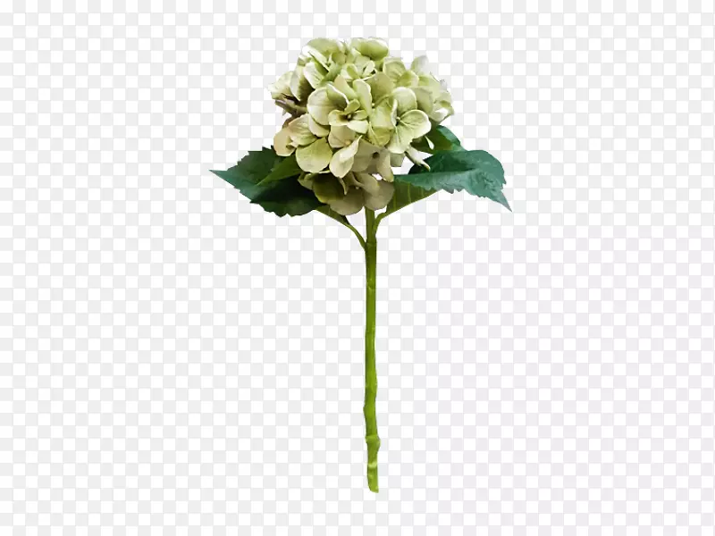 ��������л�����-������