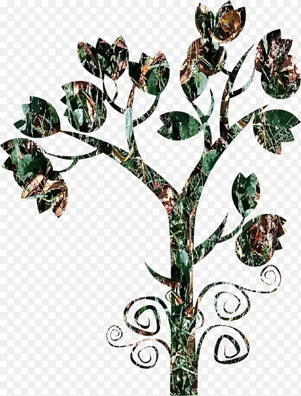 ��֦����Ҷ��-������