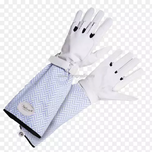 ������ָ��԰-����-������