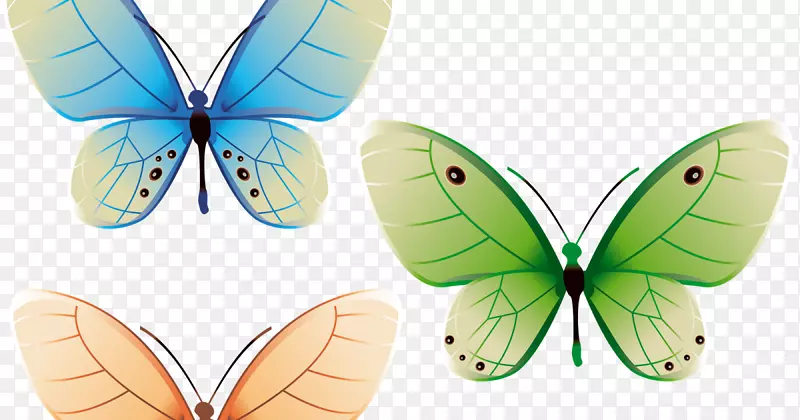 �������������-����-������