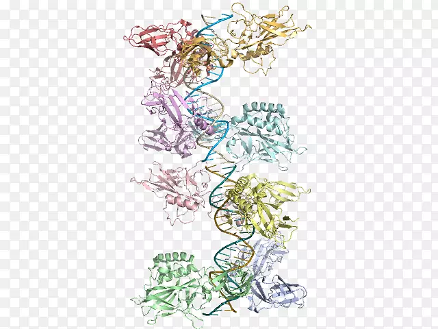 ���ƿ���ֲ��/m/02csf-������-������