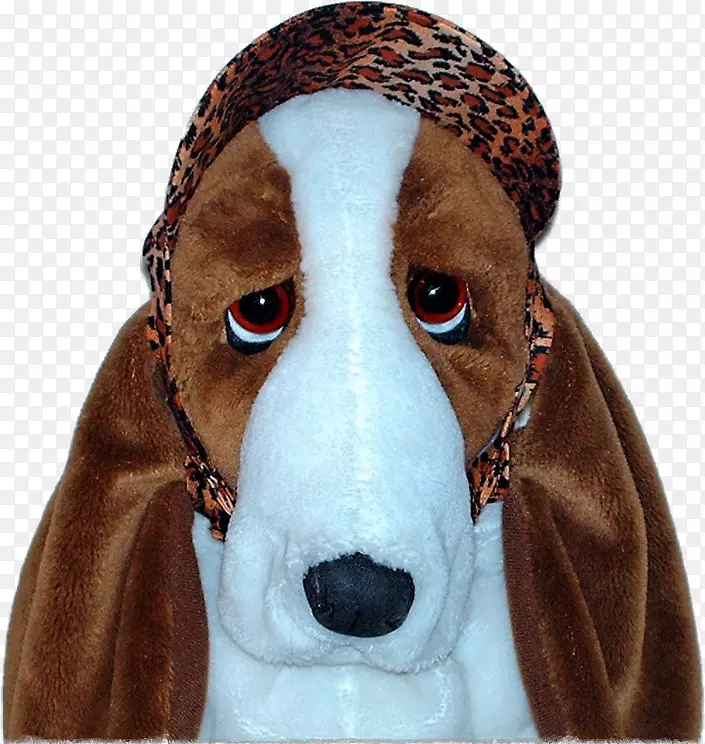 Ȯ�ֱ�ñȮ-������