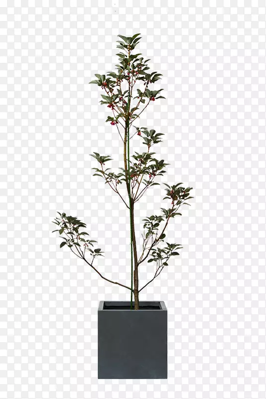 ����ֲ��Ĵ������ҽ��������-�Ĵ�����-������