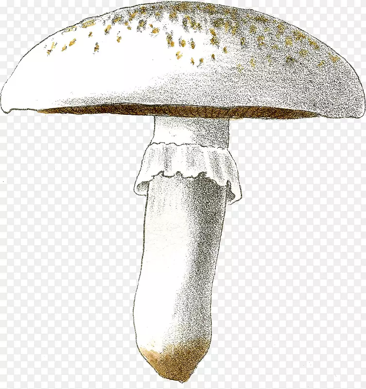 ˮ�ʻ�����-������