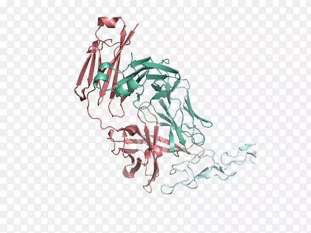 ����/m/02csf����ֲ������-������-������