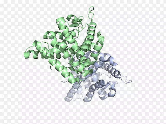 �������鱦����.����-������