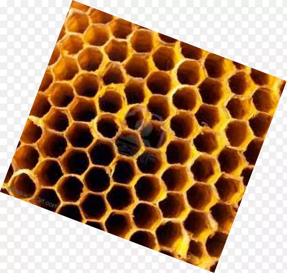 ����䳲-������