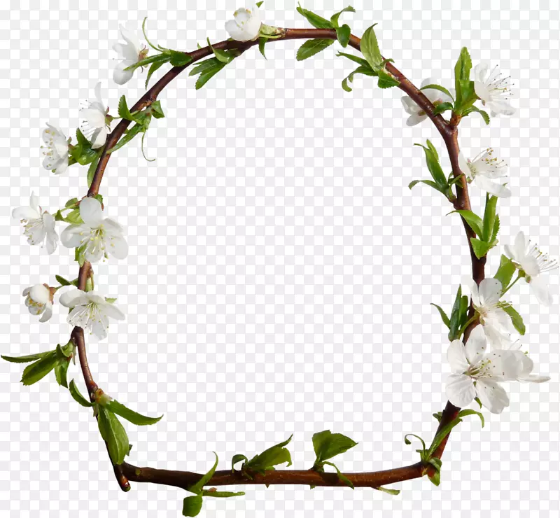 ֽ����-���������㻷-������