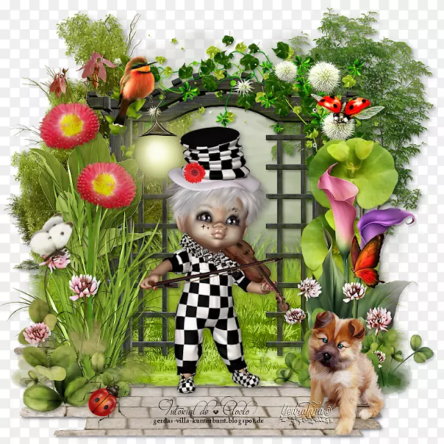 ������ƹ���ֲ��Ȯ��-������