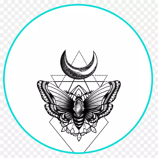 �������װ��������������������-������