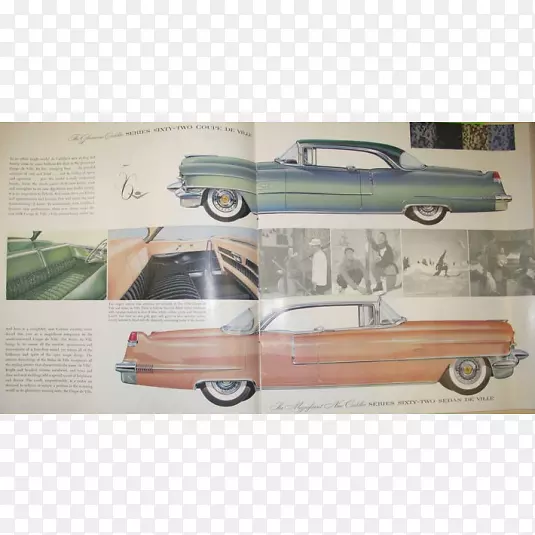 �����������ոܽ���������-������