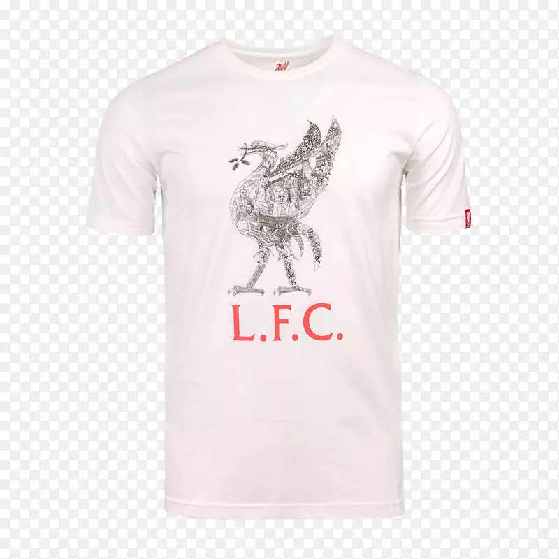 t���侱����t��-������