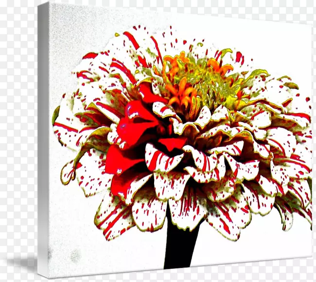 ��������л������ջ�-������