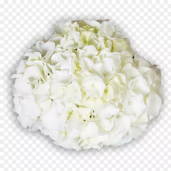 ��������л�����-������