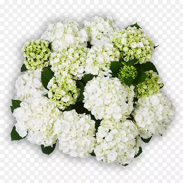 ��������л�����-������