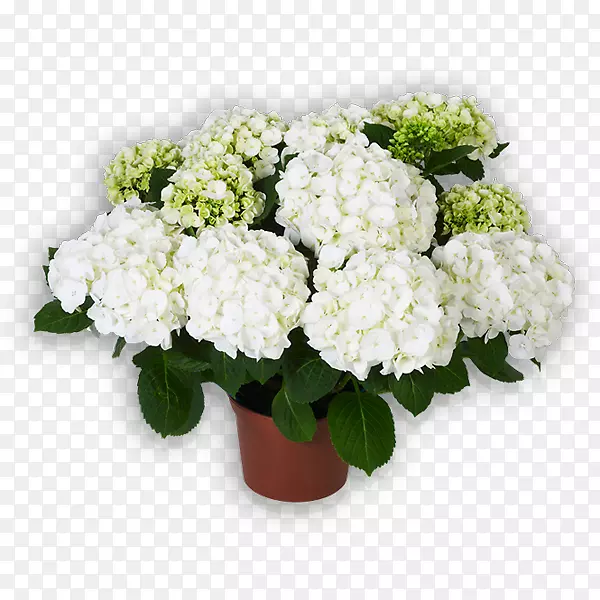 �������л��������-������