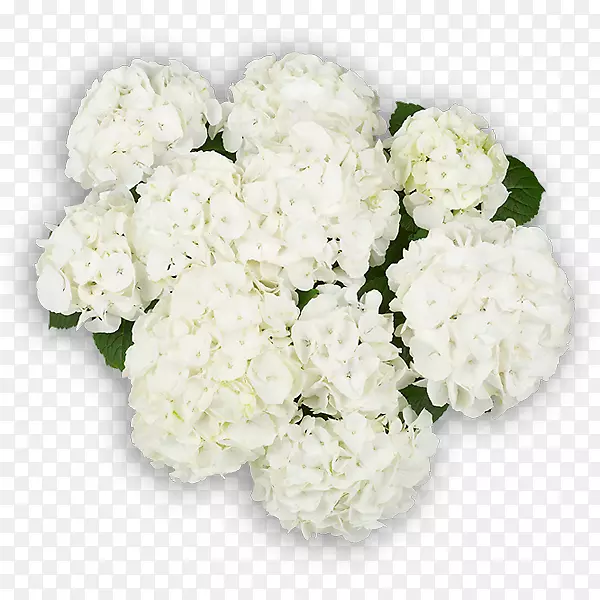 �����л����ͻ���-������