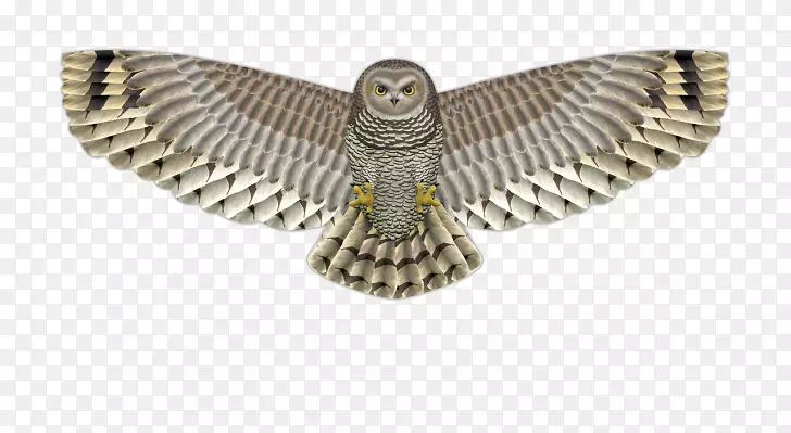 ����èͷӥ-������