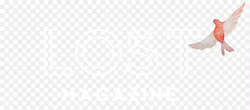 ���������ֽ��Ӱ.��-������