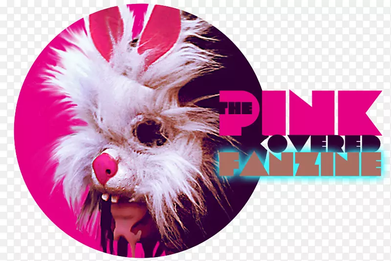 ����Ȯ��-��-������