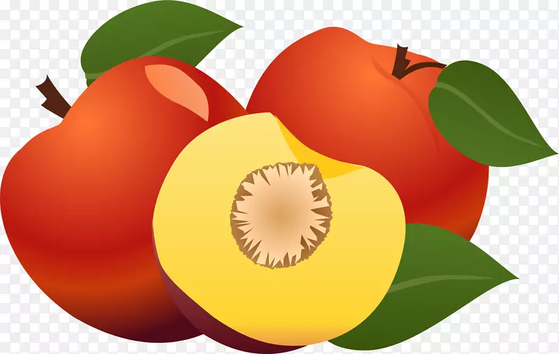 ֽƻ��.�ֻ��ƻ��Ҷ-������