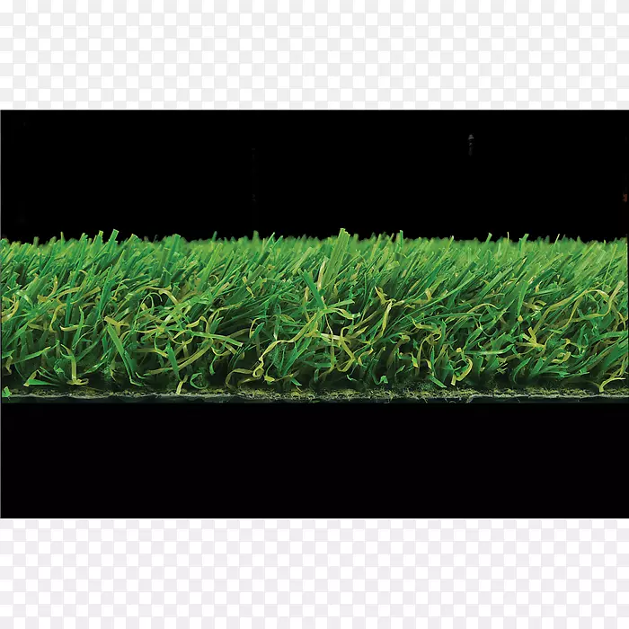 ��ƺ�ݣ������ι�ľ-������