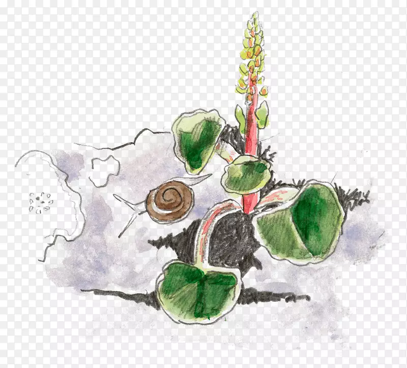 ���ʥ����Ʒ-���-������