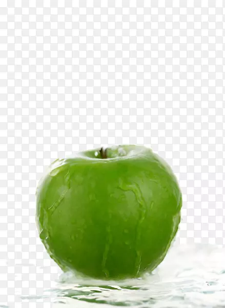 ʷ��˹����ƻ��-����ƻ��-������