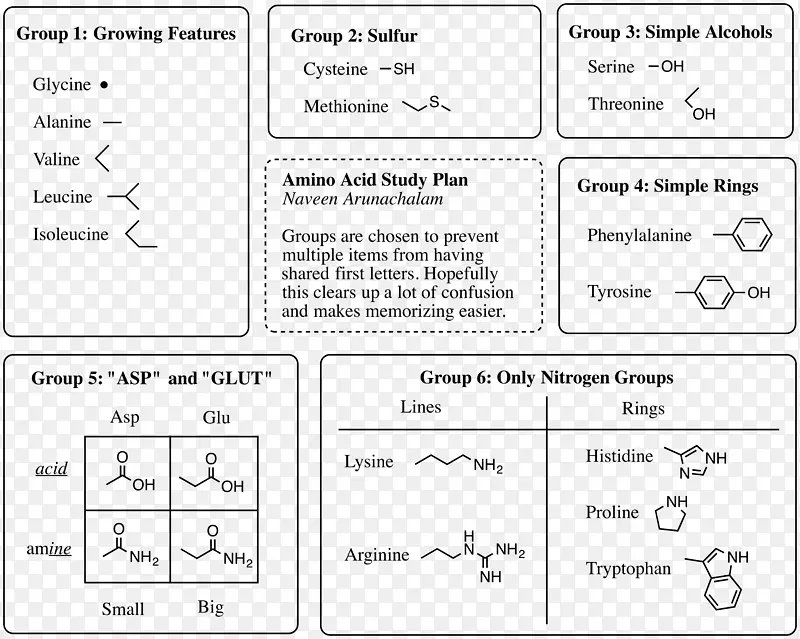 ������ҽѧԺ��ѧ�����л���ѧ���ﻯѧ����ѧ������-������